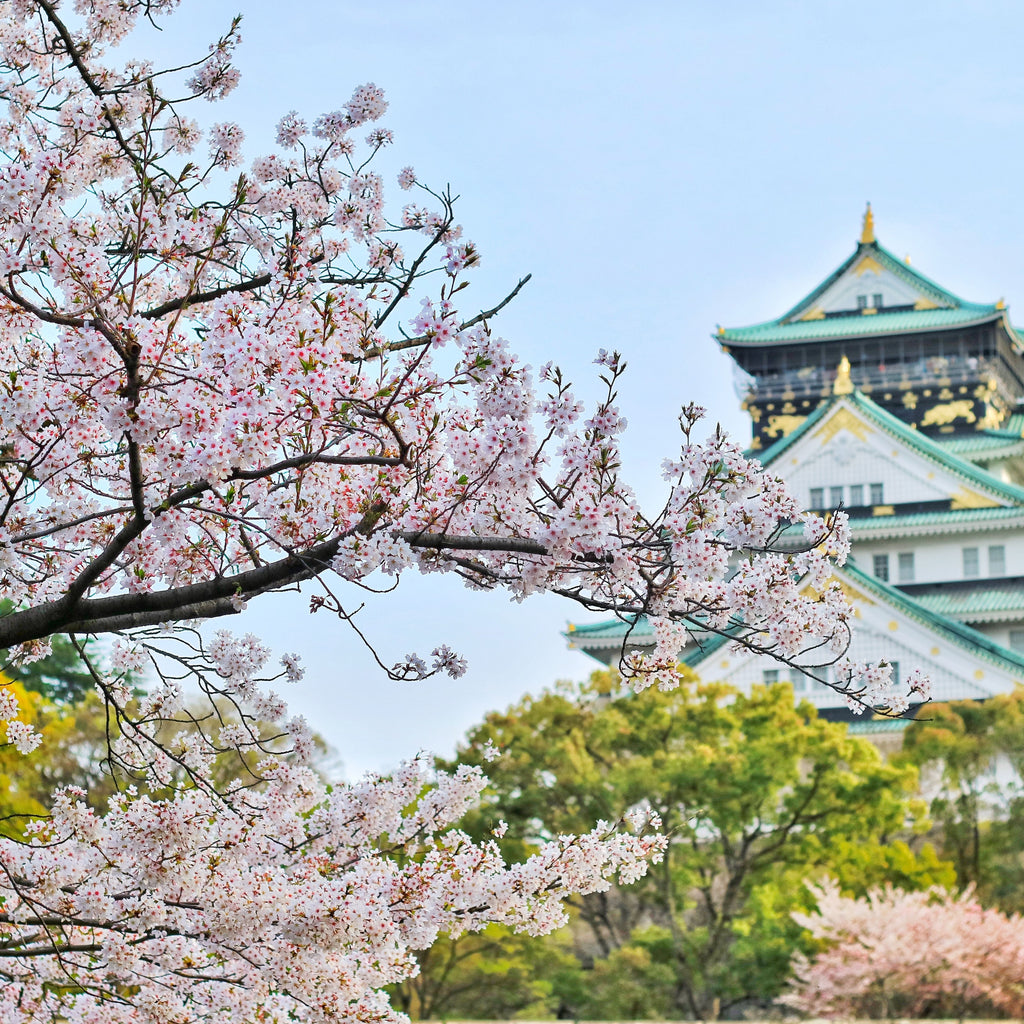 Japonijos įkūrimo diena – pamiršta šventė Japonijoje?